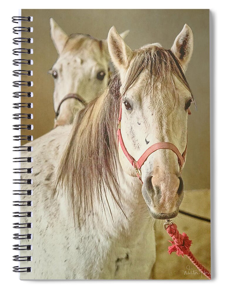 Lower Valley Horsemans Association Spiral Notebook featuring the digital art Lower Valley Horsemans Association #1 by Walter Herrit