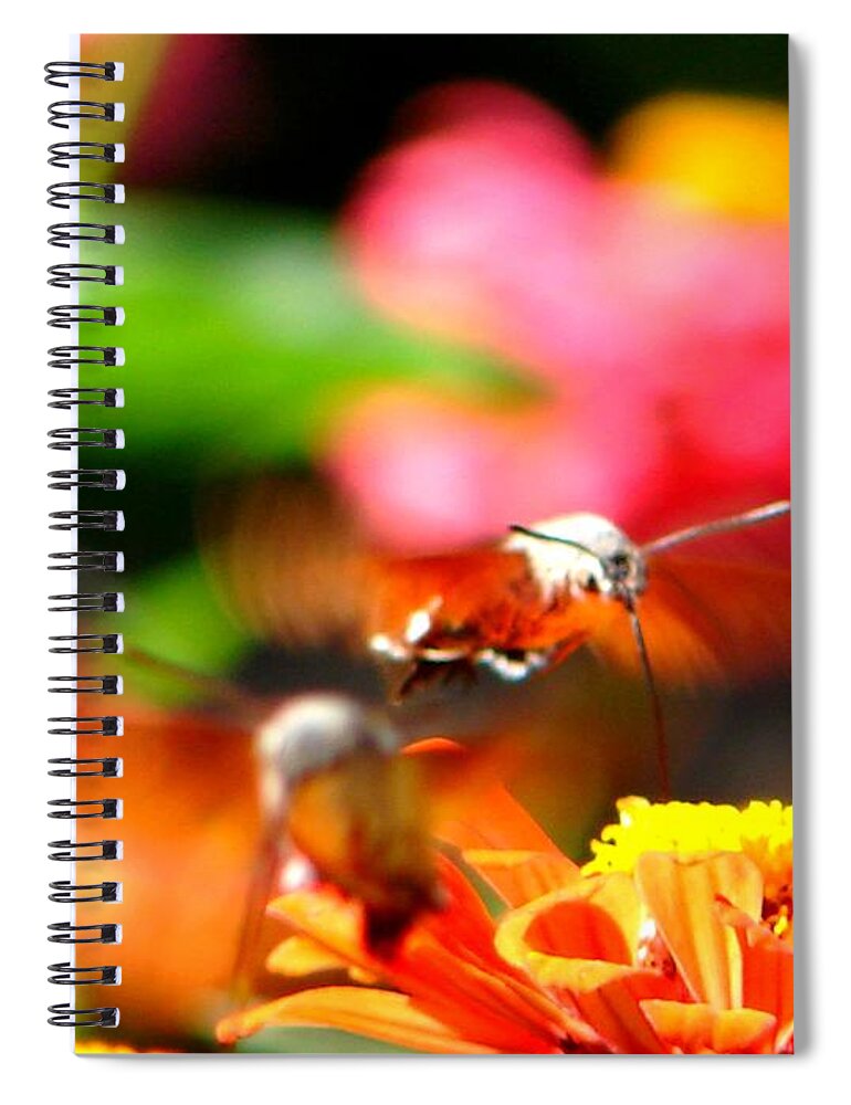Nature Spiral Notebook featuring the photograph Lucky Shot by Ana Maria Edulescu