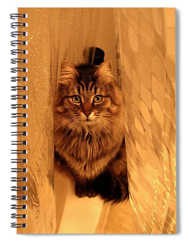 Cats Spiral Notebook featuring the photograph Lulu by George I Perez