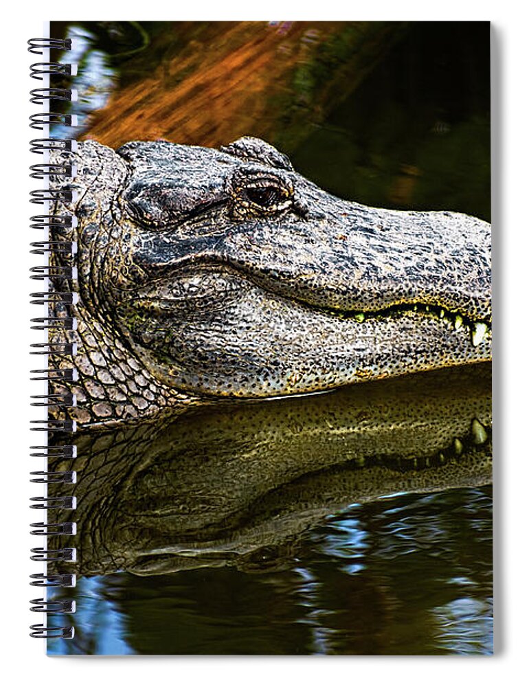 Alligator Spiral Notebook featuring the photograph Lump On A Log by Christopher Holmes