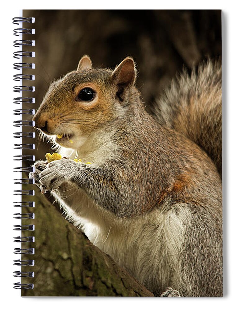 Animal Spiral Notebook featuring the photograph Lunch by Bob Cournoyer