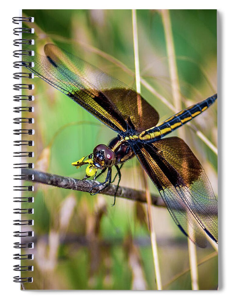 Bill Pevlor Spiral Notebook featuring the photograph Lunch Break by Bill Pevlor