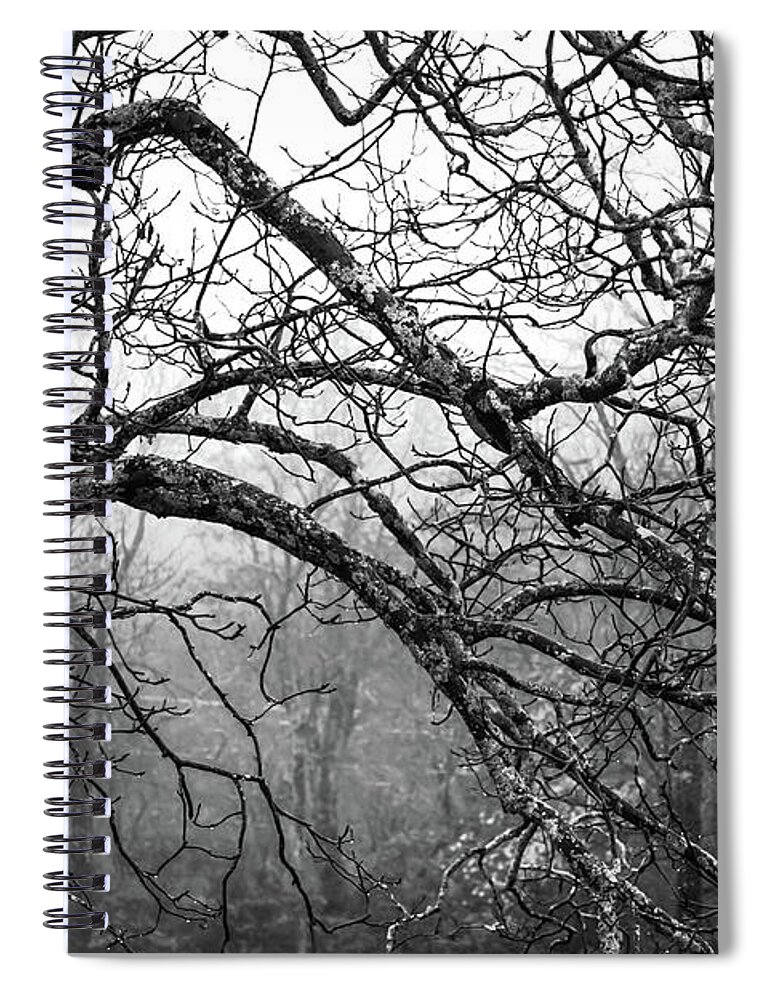 Black And White Forests Spiral Notebook featuring the photograph LURE of MYSTERY by Karen Wiles