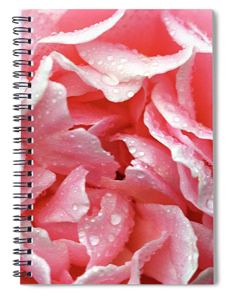 L Jigsaw Spiral Notebook featuring the photograph Luscious by Carole Gordon