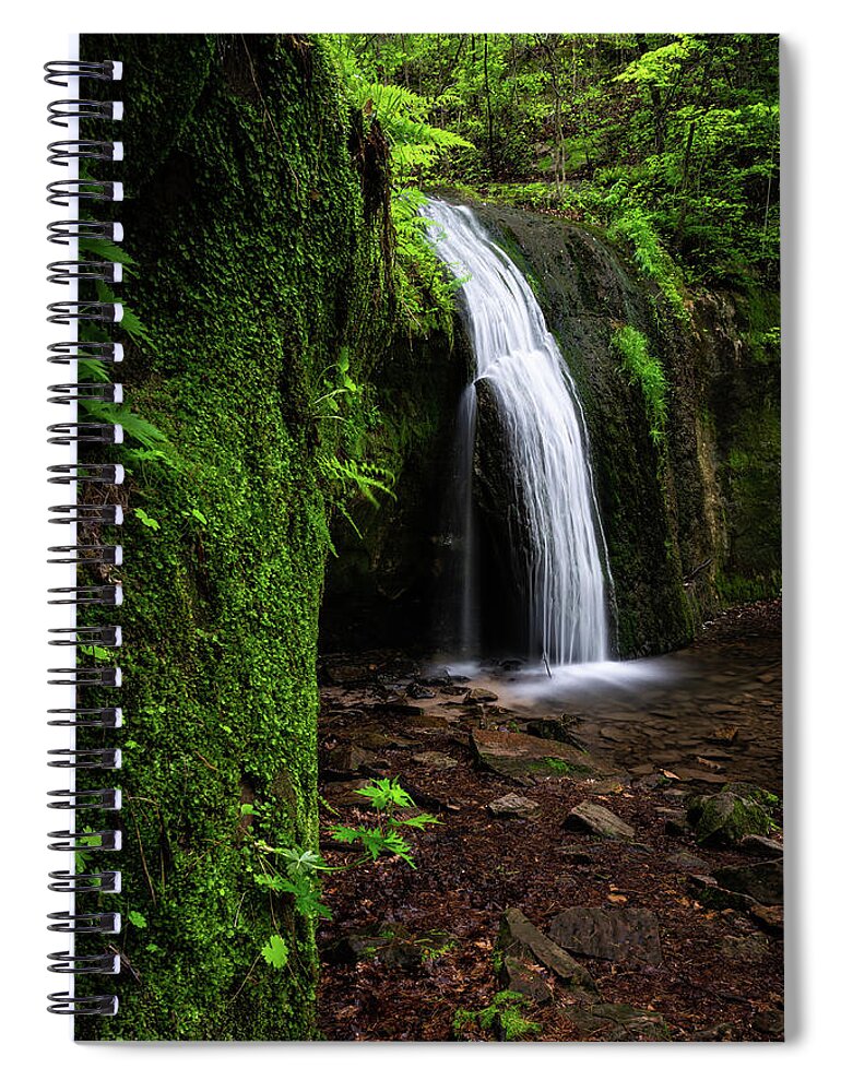 Waterfall Spiral Notebook featuring the photograph Lush by Brad Bellisle