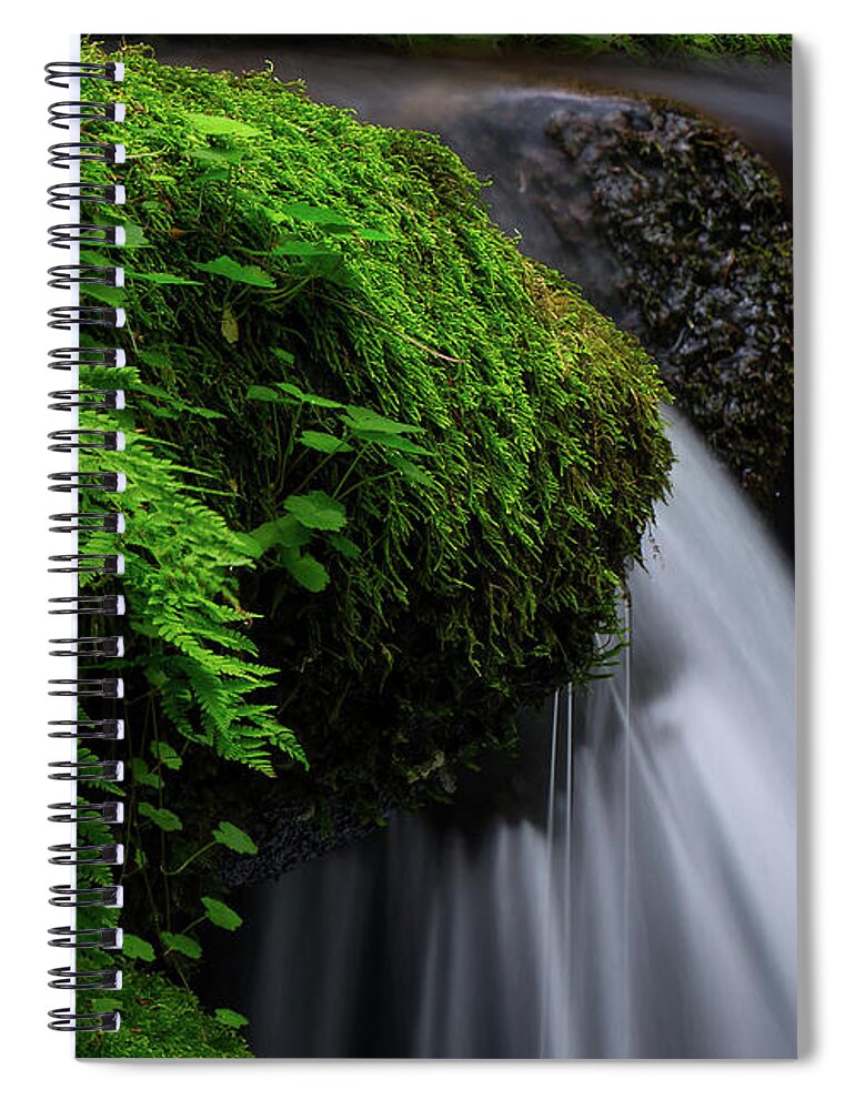 Water Spiral Notebook featuring the photograph Lush Cascade by C Renee Martin