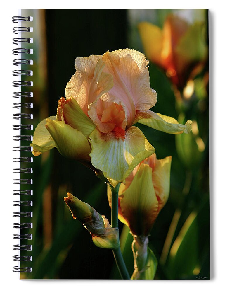 Luxurious Spiral Notebook featuring the photograph Luxurious Nature 6764 H_2 by Steven Ward