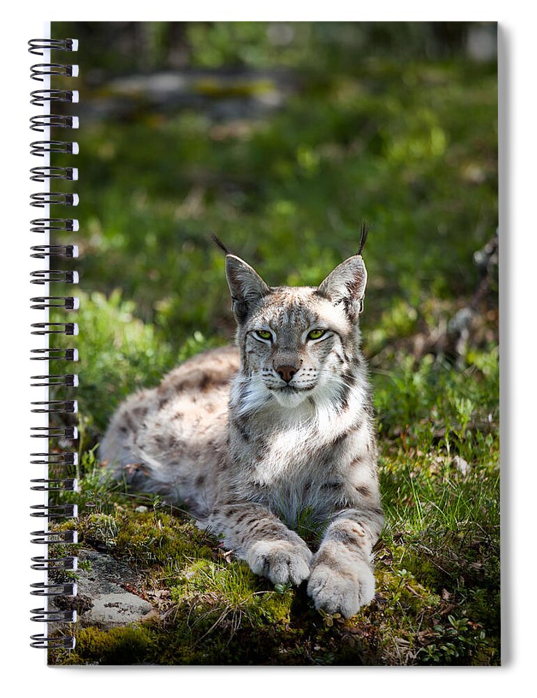 Lynx Spiral Notebook featuring the photograph Lynx by Yngve Alexandersson