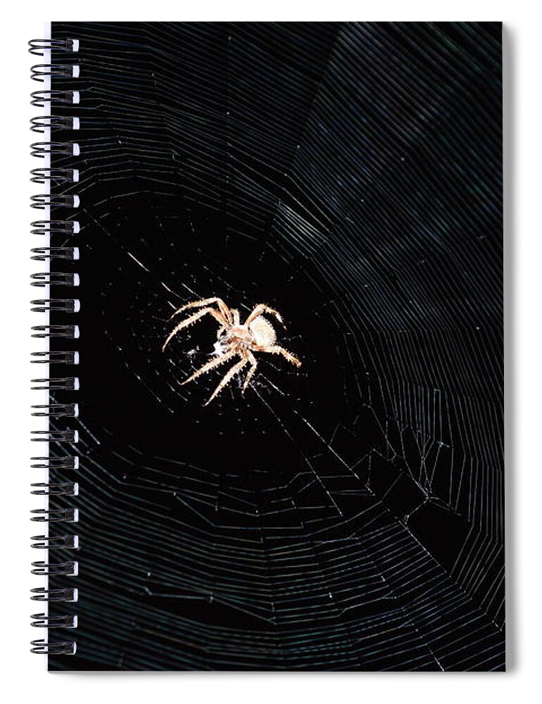 Macabre Spiral Notebook featuring the photograph Weaver the Second by Beverly Shelby