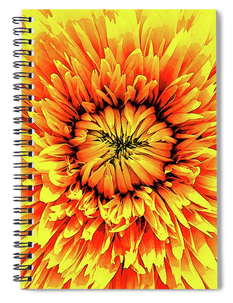 Macro Spiral Notebook featuring the digital art Macro Flower Petals by Phil Perkins