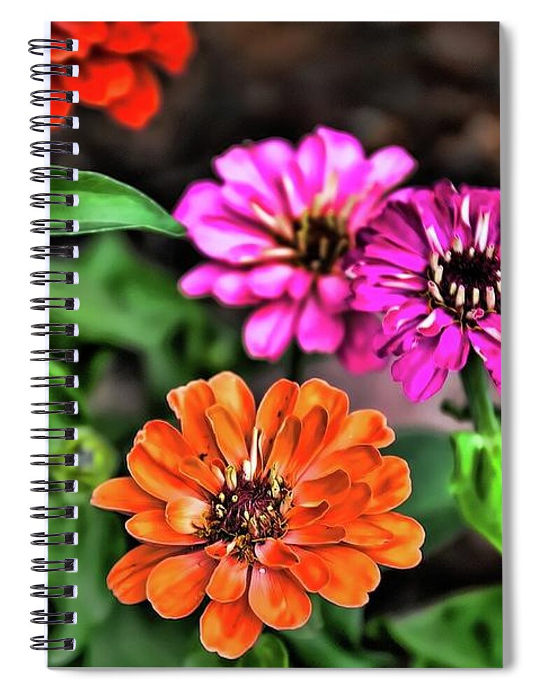 Magellans Spiral Notebook featuring the photograph Magellan Flowers 3 by Kristalin Davis by Kristalin Davis