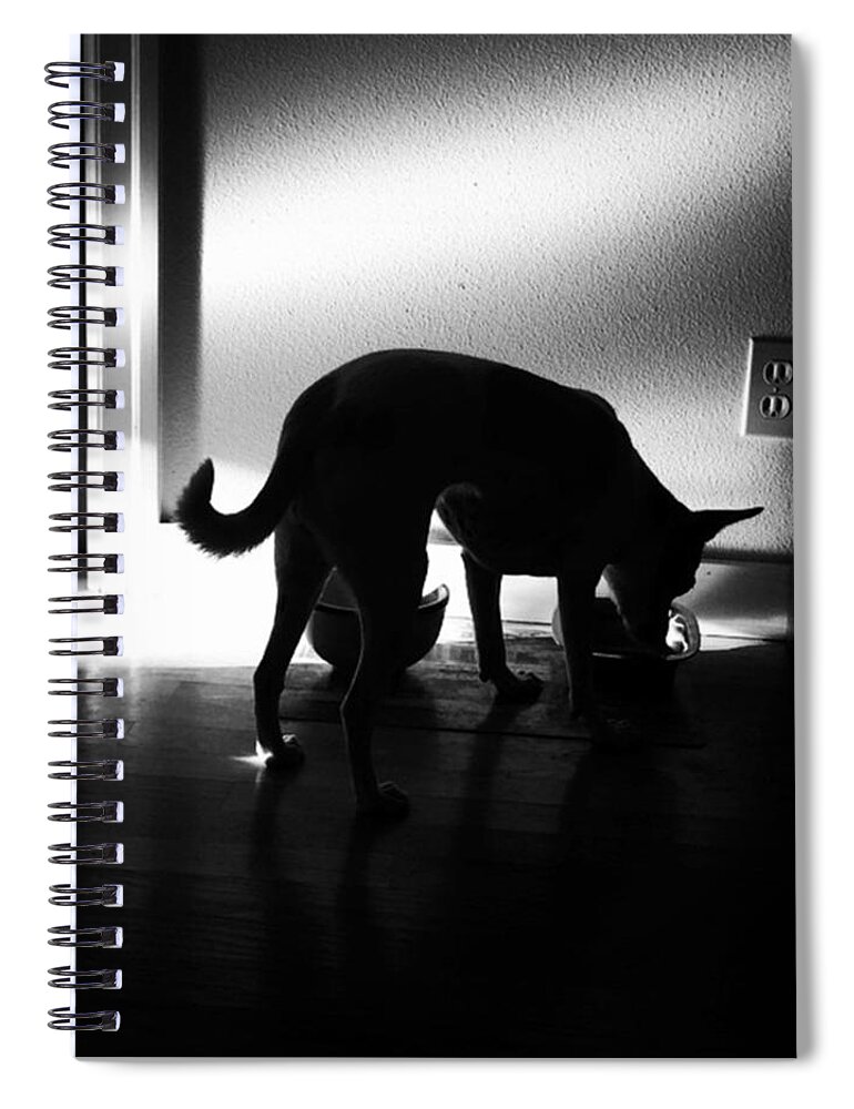 Dogeating Spiral Notebook featuring the photograph Magic Back Paw. Zoe Eating In The by Ginger Oppenheimer