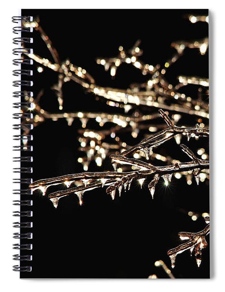 Nature Abstract Spiral Notebook featuring the photograph Magic Show by Debbie Oppermann