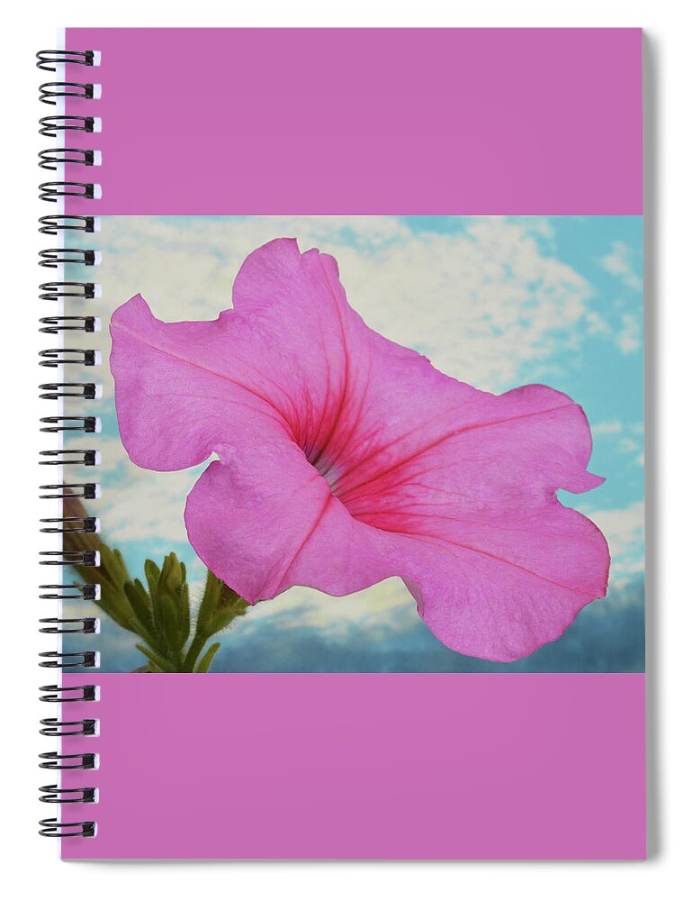 Petunia Spiral Notebook featuring the photograph Magnificent Pink Petunia. by Terence Davis