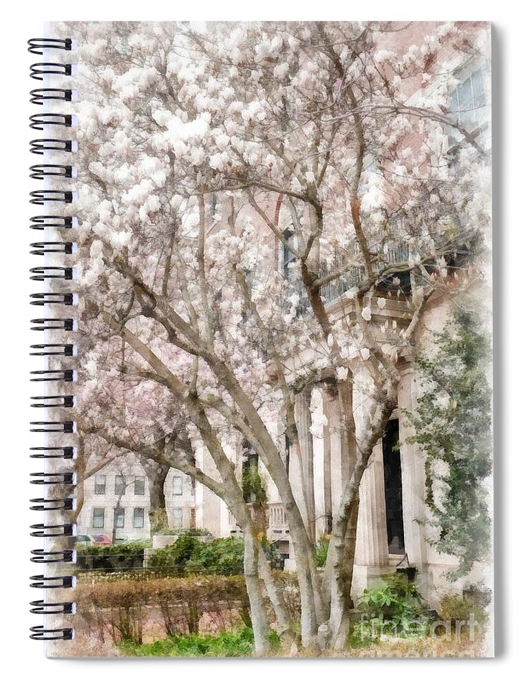 Magnolias Spiral Notebook featuring the photograph Magnolias in Back Bay by Edward Fielding