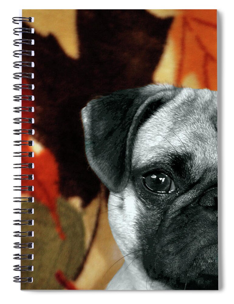 Dog Spiral Notebook featuring the photograph Magster by Trish Tritz