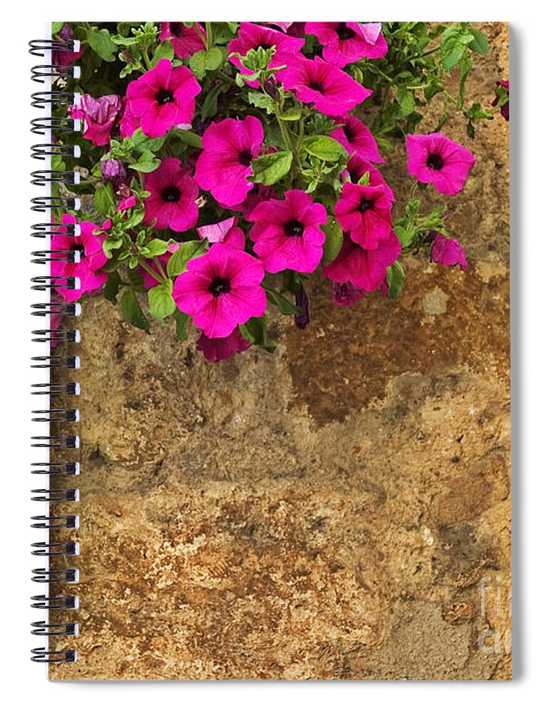 Mailbox Spiral Notebook featuring the photograph Mailbox with petunias by Silvia Ganora