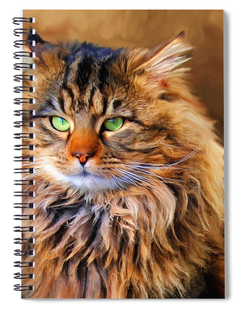 Maine Coon Spiral Notebook featuring the painting Maine Coon Cat by Jai Johnson