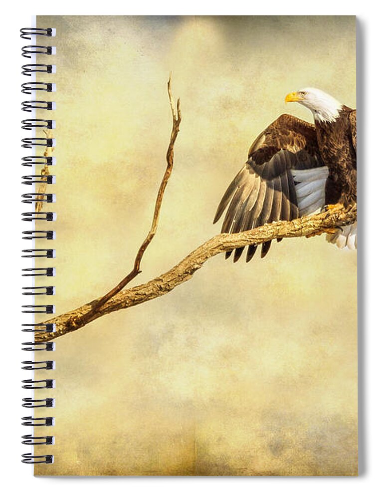 Eagle Spiral Notebook featuring the photograph Majestic Eagle Point by James BO Insogna