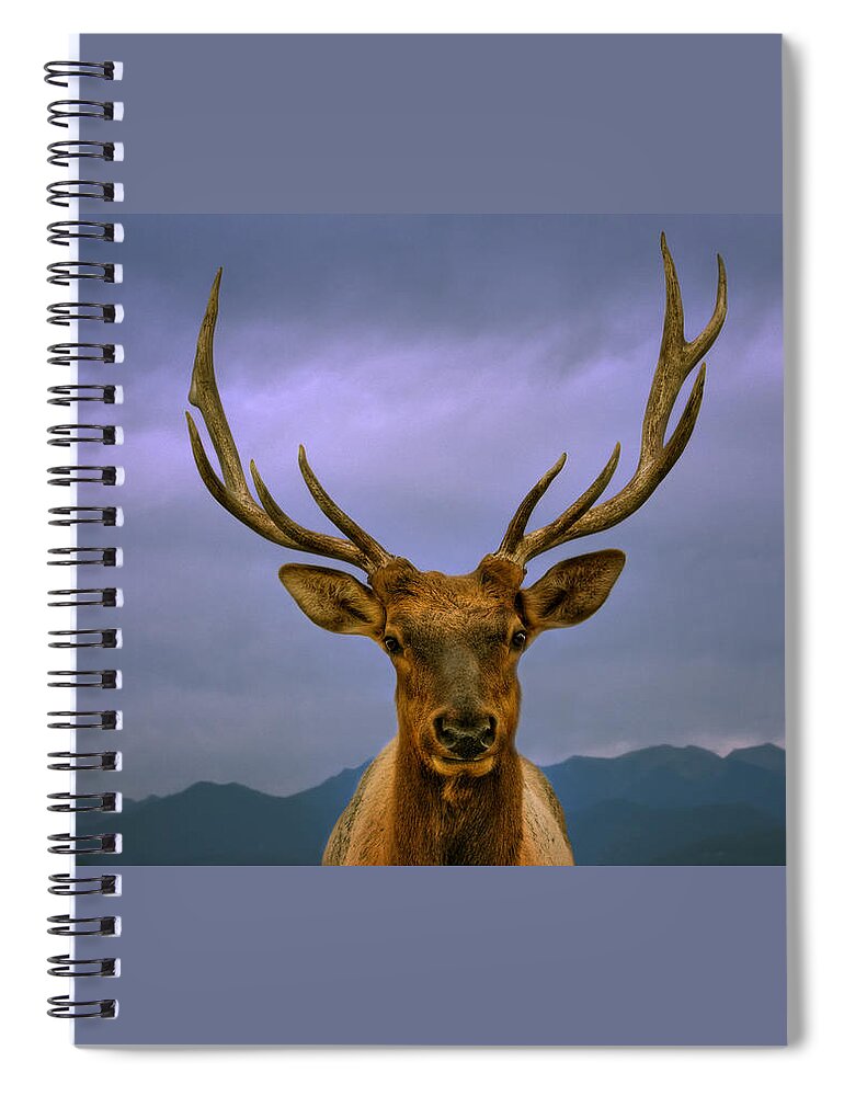 Elk Spiral Notebook featuring the photograph Majestic Elk by Mitch Spence