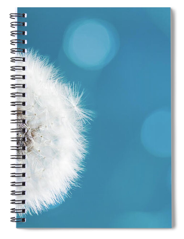 Dandelion Spiral Notebook featuring the photograph Make a wish by Anastasy Yarmolovich