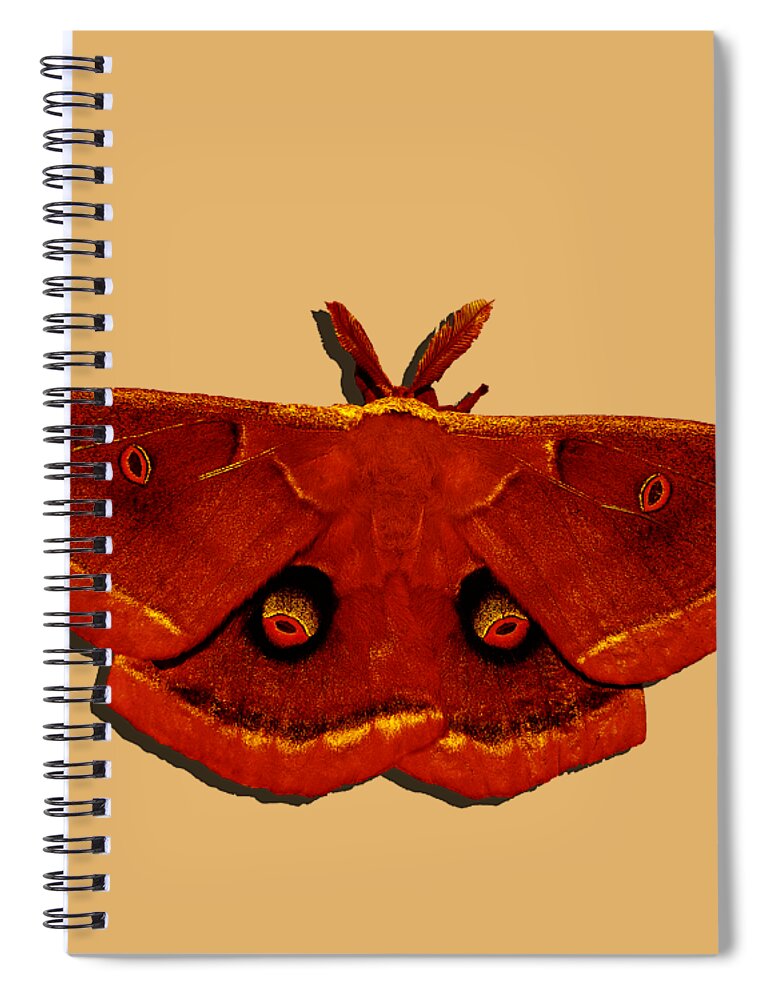 Polyphemus Moth Spiral Notebook featuring the photograph Male Moth Red .png by Al Powell Photography USA