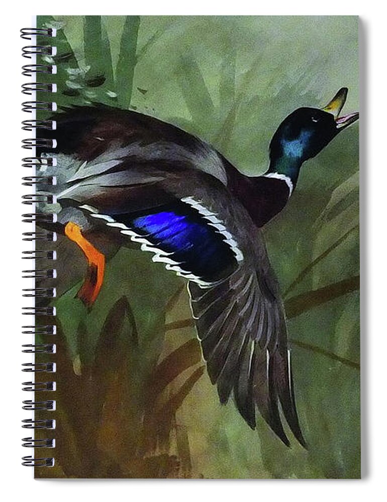 Mallard Spiral Notebook featuring the mixed media Mallard Duck in Flight by Thorburn by Movie Poster Prints