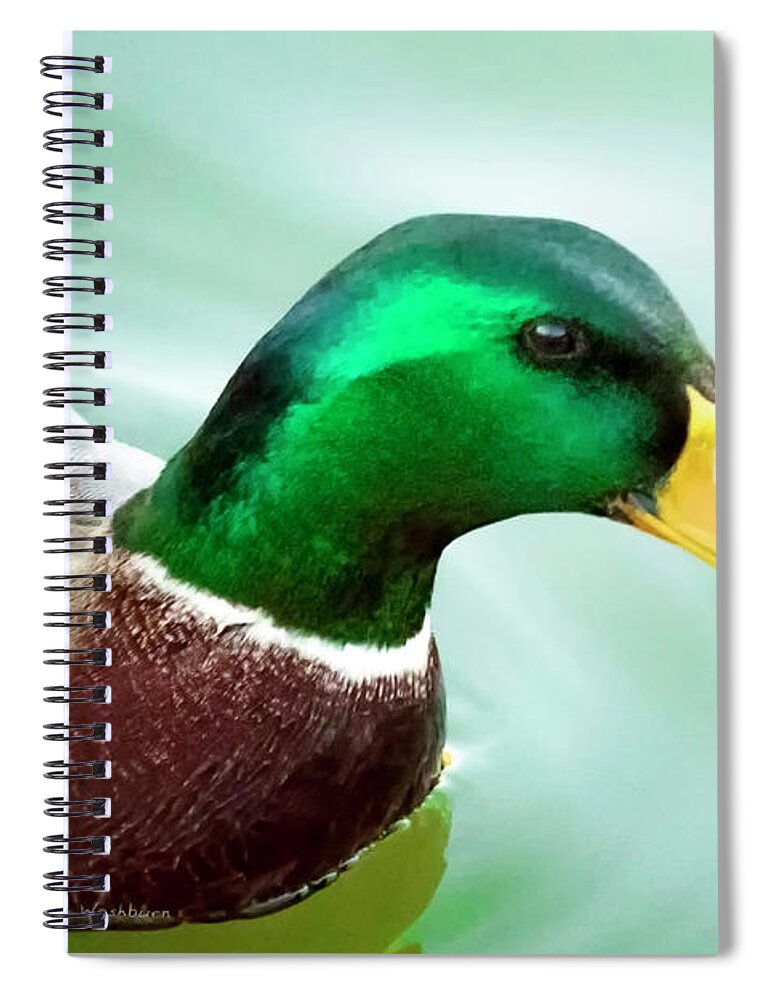 Animals Spiral Notebook featuring the photograph Mallard by K Bradley Washburn