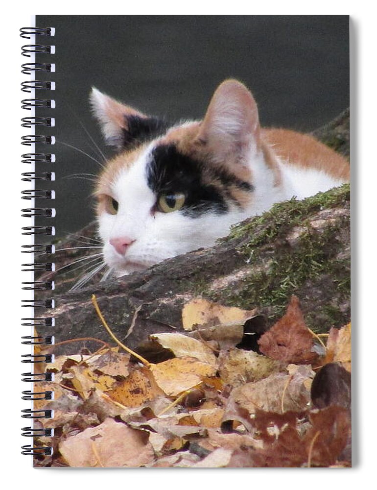 Cat Spiral Notebook featuring the photograph Ducks Watching by Kim Tran