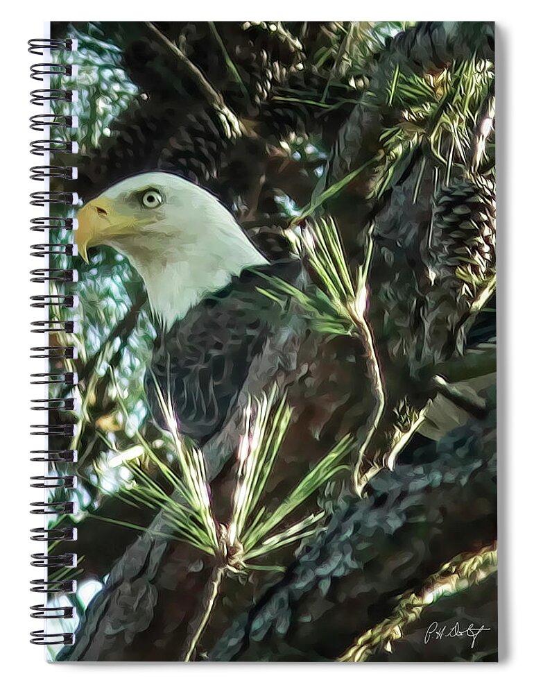 Bald Eagle Spiral Notebook featuring the photograph Mama Eagle by Phill Doherty