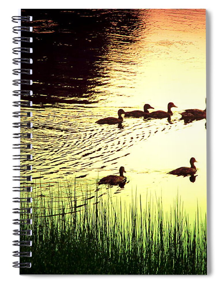 Ducks Spiral Notebook featuring the photograph Mama Mallard And Ducklings by Joyce Dickens