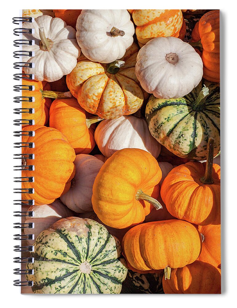 Antigo Spiral Notebook featuring the photograph Many Gourds by Todd Klassy