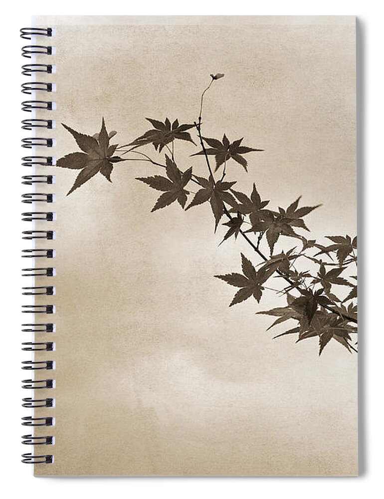 Branch Spiral Notebook featuring the photograph Maple by Linda Lees