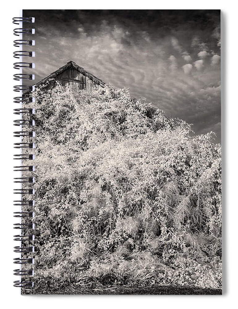 Barn Spiral Notebook featuring the photograph March of Neglect in Sepia by Greg Nyquist