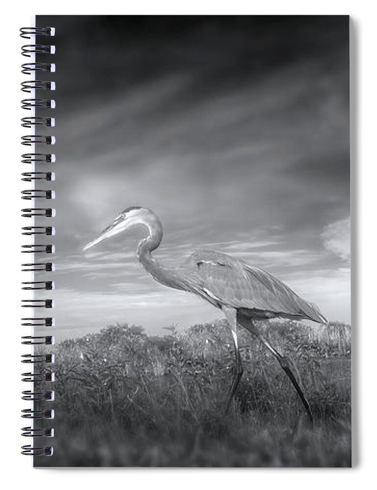 Great Blue Heron Spiral Notebook featuring the photograph March of the Great Blue Herons Vol 2 by Mark Andrew Thomas