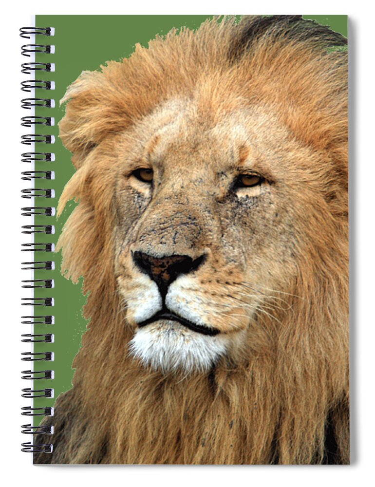 Lion Spiral Notebook featuring the photograph Masai Mara Lion Portrait  by Aidan Moran