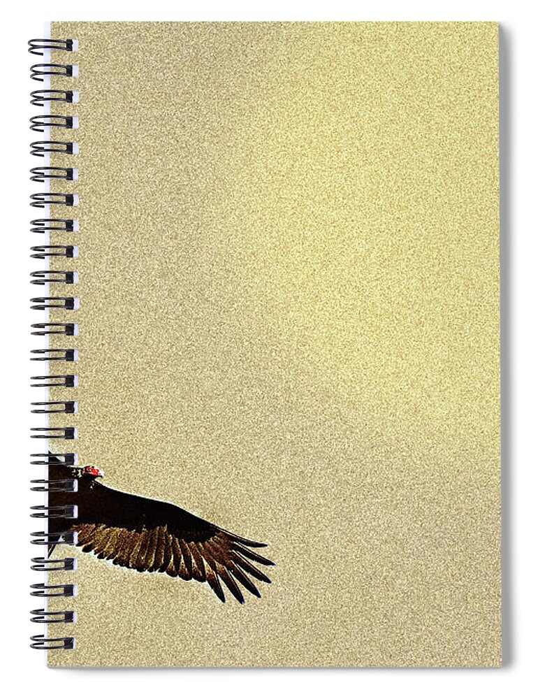 Bird Spiral Notebook featuring the photograph Master Of The Winds 2 by Mark Fuller
