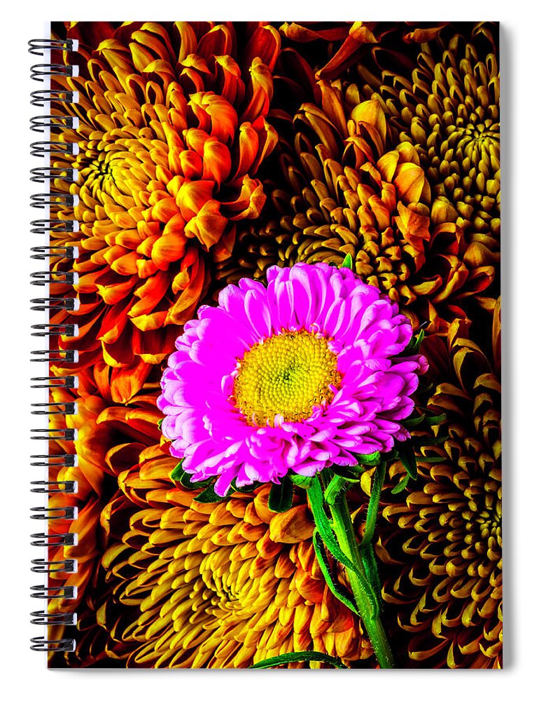Yellow Spiral Notebook featuring the photograph Matsumoto And Spider Mums by Garry Gay