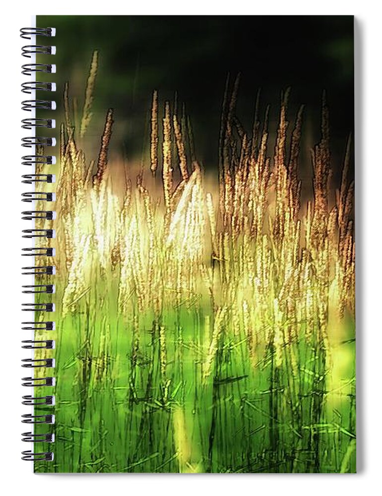 Grass Spiral Notebook featuring the photograph Meadow Grass by John Meader