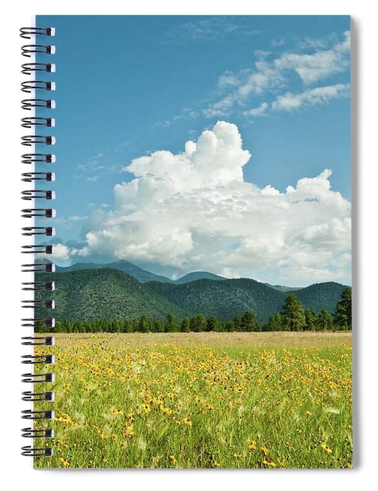 Arizona Spiral Notebook featuring the photograph Meadow of Sunflowers and the San Francisco Peaks by Jeff Goulden