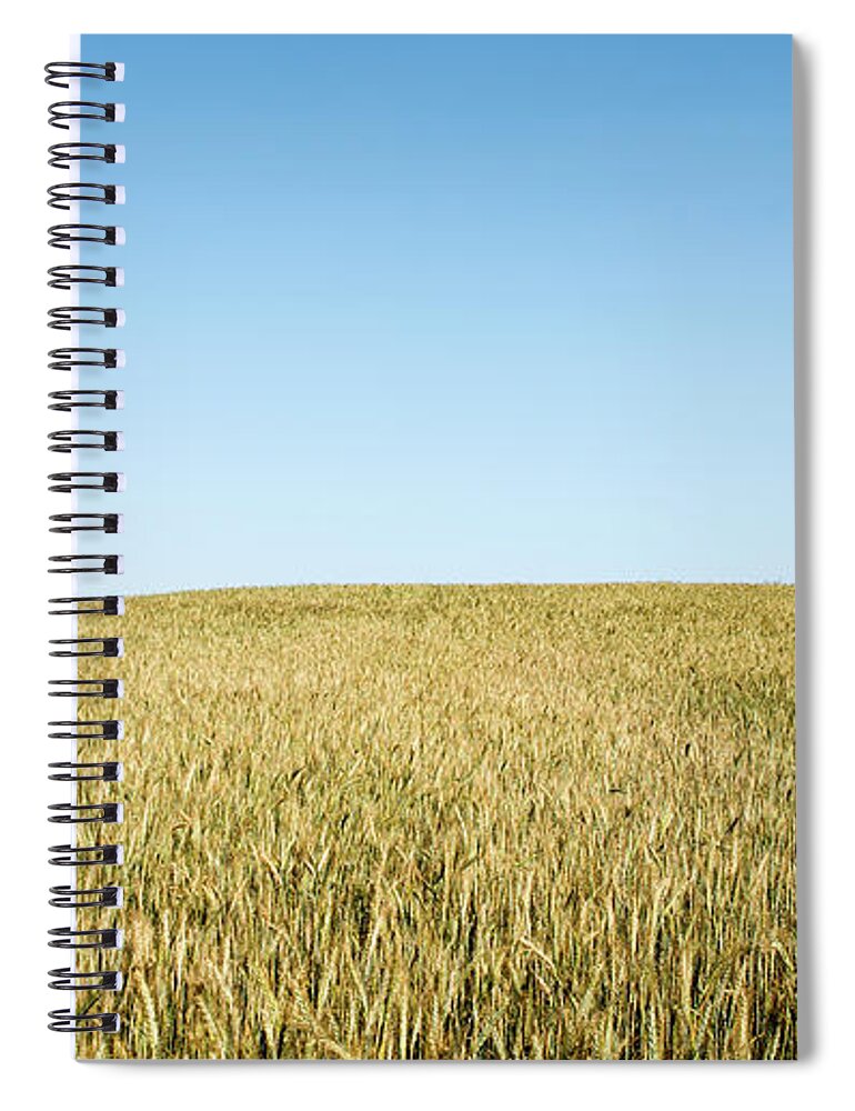 Nature Landscape Spiral Notebook featuring the photograph Nature landscape background by Michalakis Ppalis