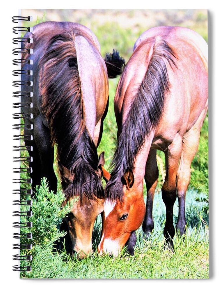 Horses Spiral Notebook featuring the photograph Meal Sharing by Merle Grenz