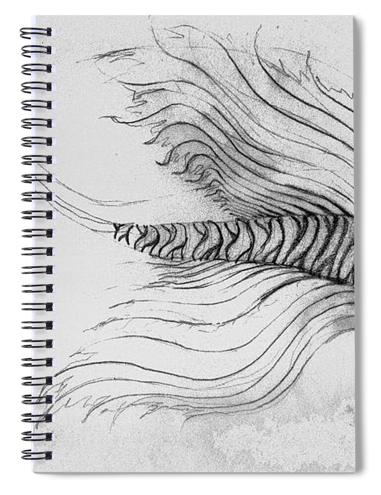  Spiral Notebook featuring the drawing Megic Fish 3 by James Lanigan Thompson MFA