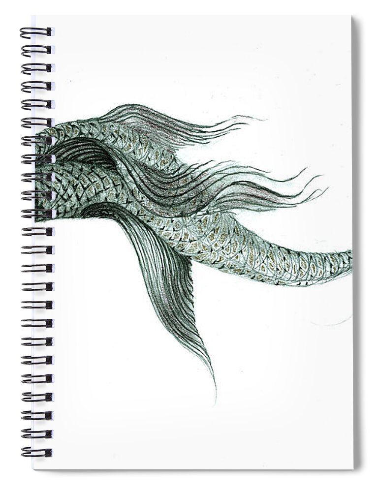  Spiral Notebook featuring the drawing Megic Fish 1 by James Lanigan Thompson MFA