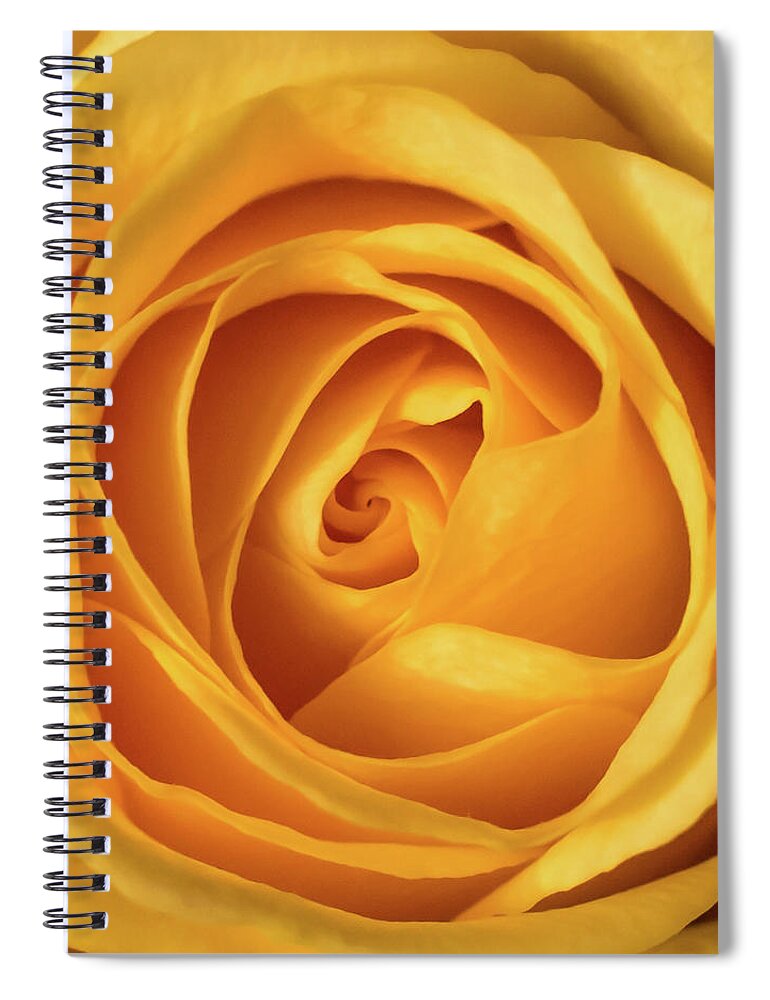 Terry D Photography Spiral Notebook featuring the photograph Mellow Yellow Rose Square by Terry DeLuco