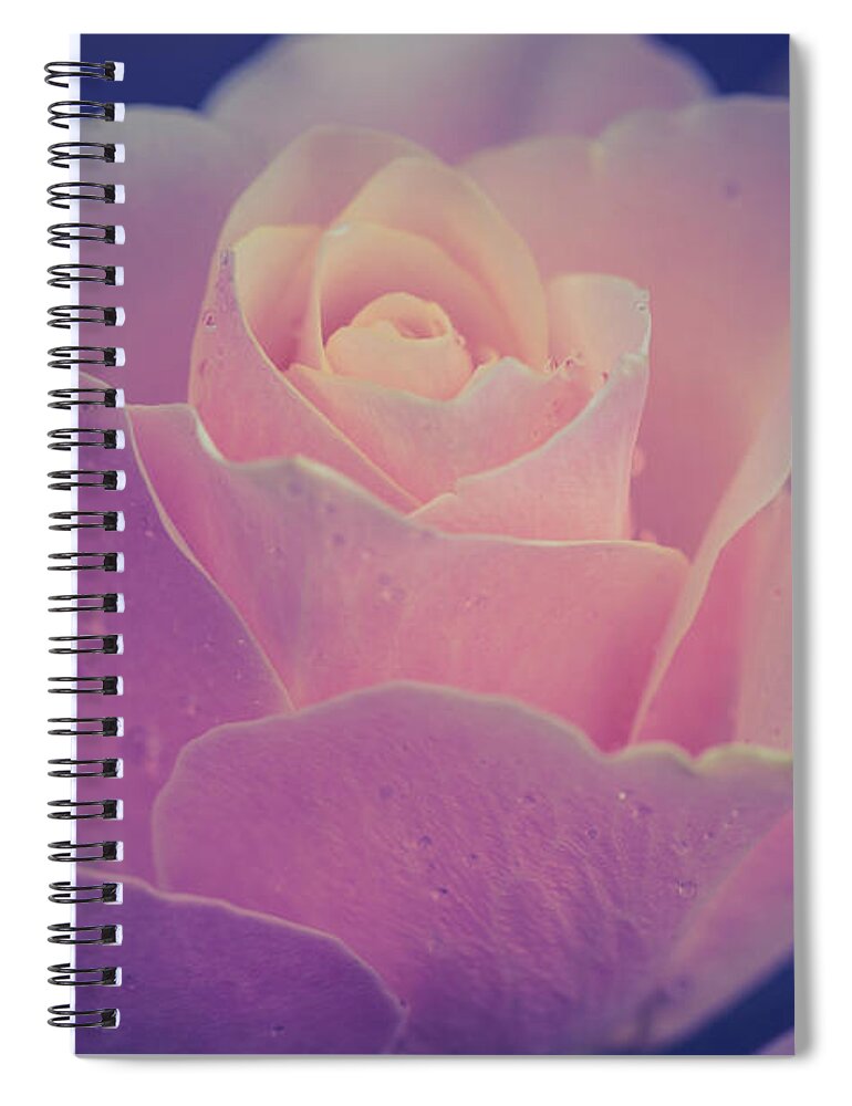 Jenny Rainbow Fine Art Photography Spiral Notebook featuring the photograph Memories. Series From Rose Garden by Jenny Rainbow