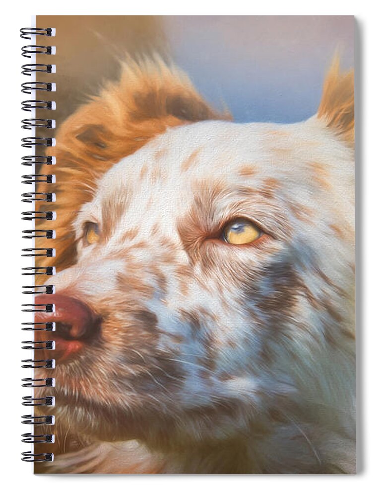 Border Collie Spiral Notebook featuring the photograph Merle Border Collie by Eleanor Abramson