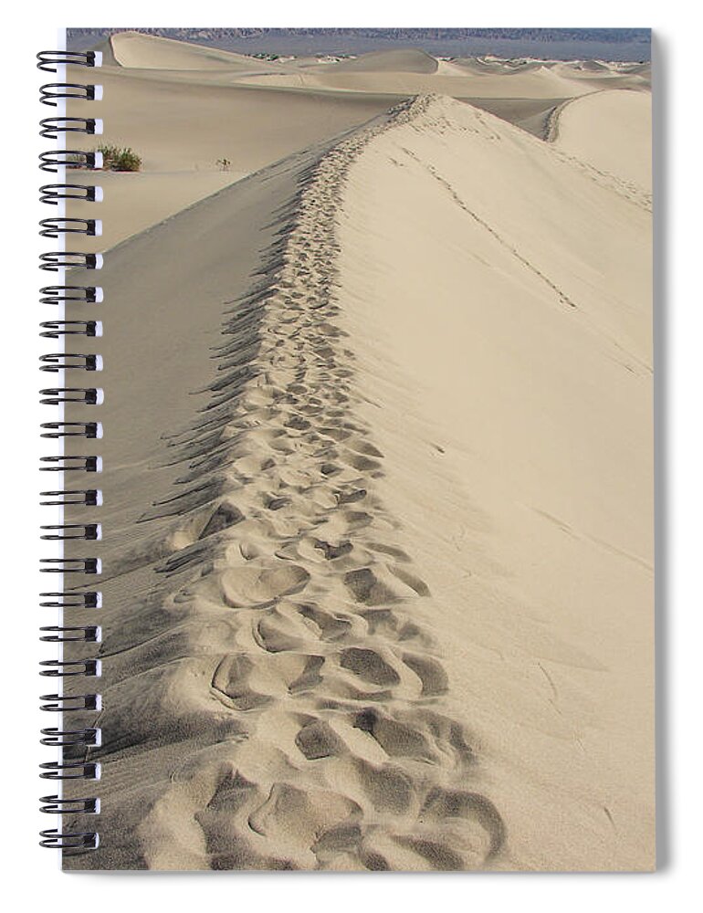 Sand Spiral Notebook featuring the photograph Mesquite Sand Dunes by Carl Moore