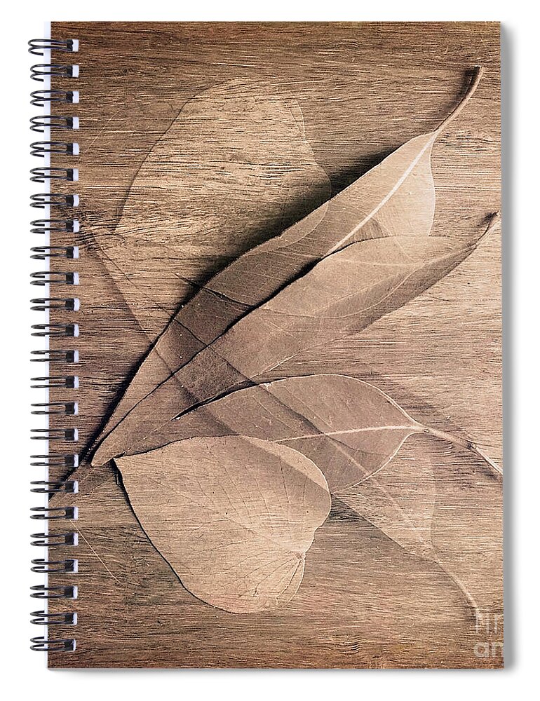 Foliage Spiral Notebook featuring the photograph Metamorphosis by Linda Lees