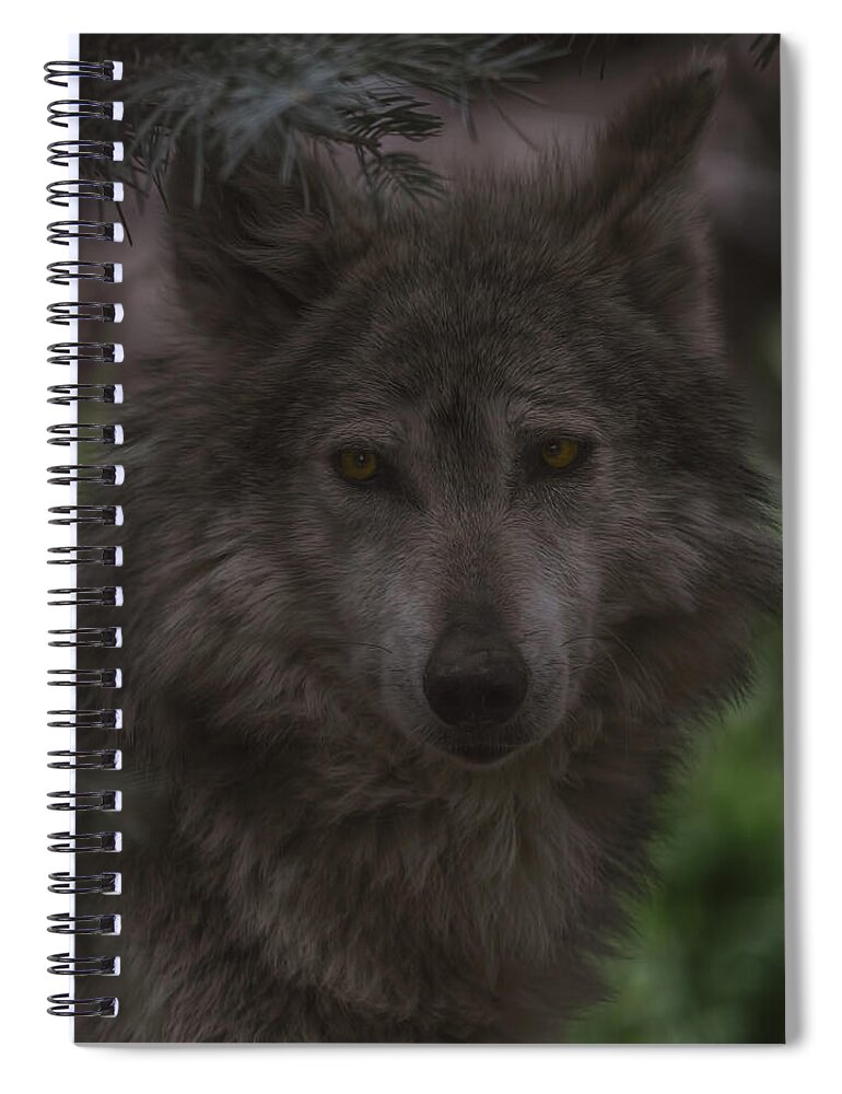 Animal Spiral Notebook featuring the photograph Mexican Grey Wolf by Brian Cross